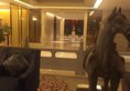 Grand Soluxe International Hotel в Сиань Китай ✅. Забронировать номер онлайн по выгодной цене в Grand Soluxe International Hotel. Трансфер из аэропорта.