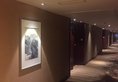 Grand Soluxe International Hotel в Сиань Китай ✅. Забронировать номер онлайн по выгодной цене в Grand Soluxe International Hotel. Трансфер из аэропорта.