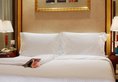 Mercure Xi'an on Renmin Square в Сиань Китай ✅. Забронировать номер онлайн по выгодной цене в Mercure Xi'an on Renmin Square. Трансфер из аэропорта.