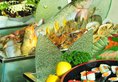 Holiday Inn Xian Greenland Century City в Сиань Китай ✅. Забронировать номер онлайн по выгодной цене в Holiday Inn Xian Greenland Century City. Трансфер из аэропорта.