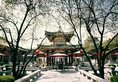 Tang Dynasty Art Garden Hotel в Сиань Китай ✅. Забронировать номер онлайн по выгодной цене в Tang Dynasty Art Garden Hotel. Трансфер из аэропорта.