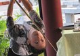 Tang Dynasty Art Garden Hotel в Сиань Китай ✅. Забронировать номер онлайн по выгодной цене в Tang Dynasty Art Garden Hotel. Трансфер из аэропорта.