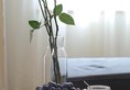 Acient City Impression Zuo You Ke hotel в Сиань Китай ✅. Забронировать номер онлайн по выгодной цене в Acient City Impression Zuo You Ke hotel. Трансфер из аэропорта.