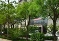 Titan Jincheng Art Hotel в Сиань Китай ✅. Забронировать номер онлайн по выгодной цене в Titan Jincheng Art Hotel. Трансфер из аэропорта.