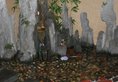 Ci En Hotel в Сиань Китай ✅. Забронировать номер онлайн по выгодной цене в Ci En Hotel. Трансфер из аэропорта.