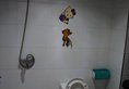 Xiyangyang Apartment в Сиань Китай ✅. Забронировать номер онлайн по выгодной цене в Xiyangyang Apartment. Трансфер из аэропорта.