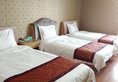 Golden Tree Business Hotel в Сиань Китай ✅. Забронировать номер онлайн по выгодной цене в Golden Tree Business Hotel. Трансфер из аэропорта.
