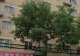 Shan Xi Mei Ke Mei Jia Hotel в Сиань Китай ✅. Забронировать номер онлайн по выгодной цене в Shan Xi Mei Ke Mei Jia Hotel. Трансфер из аэропорта.