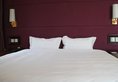 Xihe Fengrun Hotel в Сиань Китай ✅. Забронировать номер онлайн по выгодной цене в Xihe Fengrun Hotel. Трансфер из аэропорта.