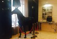 Jinjiang Metropolo Hotel Xi'an Bell Tower West Gate в Сиань Китай ✅. Забронировать номер онлайн по выгодной цене в Jinjiang Metropolo Hotel Xi'an Bell Tower West Gate. Трансфер из аэропорта.