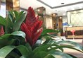Huashang Hotel в Иу Китай ✅. Забронировать номер онлайн по выгодной цене в Huashang Hotel. Трансфер из аэропорта.