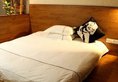 Qingtao Hotel в Иу Китай ✅. Забронировать номер онлайн по выгодной цене в Qingtao Hotel. Трансфер из аэропорта.