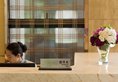 The Canton Residence Foshan в Фошань Китай ✅. Забронировать номер онлайн по выгодной цене в The Canton Residence Foshan. Трансфер из аэропорта.