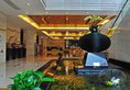 Foshan Pasonda Hotel в Фошань Китай ✅. Забронировать номер онлайн по выгодной цене в Foshan Pasonda Hotel. Трансфер из аэропорта.