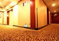 Vienna Hotel Foshan Chancheng Zumiao Branch в Фошань Китай ✅. Забронировать номер онлайн по выгодной цене в Vienna Hotel Foshan Chancheng Zumiao Branch. Трансфер из аэропорта.