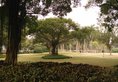 FoShan ShiJia Hotel Apartment в Фошань Китай ✅. Забронировать номер онлайн по выгодной цене в FoShan ShiJia Hotel Apartment. Трансфер из аэропорта.