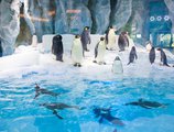 Chimelong Penguin Hotel в Чжухай Китай ✅. Забронировать номер онлайн по выгодной цене в Chimelong Penguin Hotel. Трансфер из аэропорта.