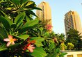 HouseShare Zhuhai Hengqin Chimelong Branch в Чжухай Китай ✅. Забронировать номер онлайн по выгодной цене в HouseShare Zhuhai Hengqin Chimelong Branch. Трансфер из аэропорта.