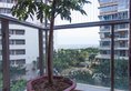 Tangjia Baoli Ocean Apartment Zhuhai в Чжухай Китай ✅. Забронировать номер онлайн по выгодной цене в Tangjia Baoli Ocean Apartment Zhuhai. Трансфер из аэропорта.