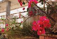 Zhuhai Journey House Hostel в Чжухай Китай ✅. Забронировать номер онлайн по выгодной цене в Zhuhai Journey House Hostel. Трансфер из аэропорта.