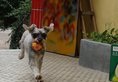 Zhuhai Cangzang Time Hostel в Чжухай Китай ✅. Забронировать номер онлайн по выгодной цене в Zhuhai Cangzang Time Hostel. Трансфер из аэропорта.