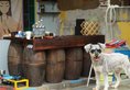 Zhuhai Cangzang Time Hostel в Чжухай Китай ✅. Забронировать номер онлайн по выгодной цене в Zhuhai Cangzang Time Hostel. Трансфер из аэропорта.