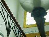 Shuiwan Hostel в Чжухай Китай ✅. Забронировать номер онлайн по выгодной цене в Shuiwan Hostel. Трансфер из аэропорта.