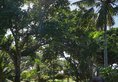Hyatt Regency Bali в регион Санур Индонезия ✅. Забронировать номер онлайн по выгодной цене в Hyatt Regency Bali. Трансфер из аэропорта.