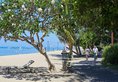 Hyatt Regency Bali в регион Санур Индонезия ✅. Забронировать номер онлайн по выгодной цене в Hyatt Regency Bali. Трансфер из аэропорта.
