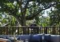 Hyatt Regency Bali в регион Санур Индонезия ✅. Забронировать номер онлайн по выгодной цене в Hyatt Regency Bali. Трансфер из аэропорта.