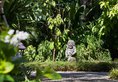 Hyatt Regency Bali в регион Санур Индонезия ✅. Забронировать номер онлайн по выгодной цене в Hyatt Regency Bali. Трансфер из аэропорта.