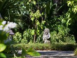 Hyatt Regency Bali в регион Санур Индонезия ✅. Забронировать номер онлайн по выгодной цене в Hyatt Regency Bali. Трансфер из аэропорта.