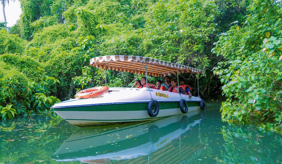 Isola Di Cocco Ayurvedic Beach Resort в Керала Индия  ✅. Забронировать номер онлайн по выгодной цене в Isola Di Cocco Ayurvedic Beach Resort. Трансфер из аэропорта.