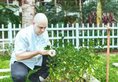 JW Marriott Phuket Resort and Spa в Пхукет Таиланд ✅. Забронировать номер онлайн по выгодной цене в JW Marriott Phuket Resort and Spa. Трансфер из аэропорта.