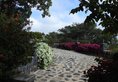 Kanta Lodge в Консо Эфиопия. Забронировать номер онлайн по выгодной цене в Kanta Lodge. Трансфер из аэропорта.