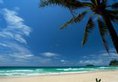 Katathani Phuket Beach Resort в Пхукет Таиланд ✅. Забронировать номер онлайн по выгодной цене в Katathani Phuket Beach Resort. Трансфер из аэропорта.