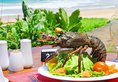 Koggala Beach в Коггала Шри-Ланка ✅. Забронировать номер онлайн по выгодной цене в Koggala Beach. Трансфер из аэропорта.