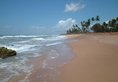 Kosgoda Beach Resort в Косгода Шри-Ланка ✅. Забронировать номер онлайн по выгодной цене в Kosgoda Beach Resort. Трансфер из аэропорта.
