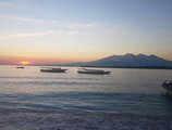 Kura Kura Resort Gili Meno в Гили Индонезия ✅. Забронировать номер онлайн по выгодной цене в Kura Kura Resort Gili Meno. Трансфер из аэропорта.