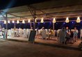 Kura Kura Resort Gili Meno в Гили Индонезия ✅. Забронировать номер онлайн по выгодной цене в Kura Kura Resort Gili Meno. Трансфер из аэропорта.