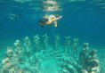 Kura Kura Resort Gili Meno в Гили Индонезия ✅. Забронировать номер онлайн по выгодной цене в Kura Kura Resort Gili Meno. Трансфер из аэропорта.