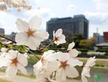 Kyoto Hotel Okura в Киото Япония ✅. Забронировать номер онлайн по выгодной цене в Kyoto Hotel Okura. Трансфер из аэропорта.