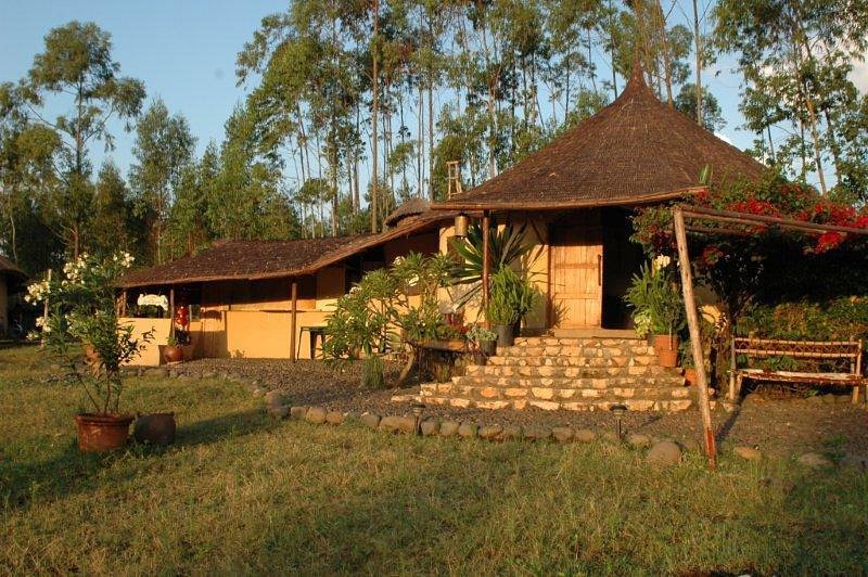 Eco Omo Lodge Jinka в Джинка Эфиопия. Забронировать номер онлайн по выгодной цене в Eco Omo Lodge Jinka. Трансфер из аэропорта.