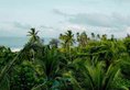 Lanka Princess в Бентота Шри-Ланка ✅. Забронировать номер онлайн по выгодной цене в Lanka Princess. Трансфер из аэропорта.