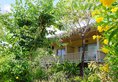 Lahana Phuquoc Resort в Фукуок Вьетнам ✅. Забронировать номер онлайн по выгодной цене в Lahana Phuquoc Resort. Трансфер из аэропорта.