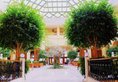 L Atrium Yasmine Hammamet в Хаммамет Тунис ✅. Забронировать номер онлайн по выгодной цене в L Atrium Yasmine Hammamet. Трансфер из аэропорта.