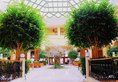 L Atrium Yasmine Hammamet в Хаммамет Тунис ✅. Забронировать номер онлайн по выгодной цене в L Atrium Yasmine Hammamet. Трансфер из аэропорта.