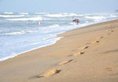 Laya Beach Wadduwa в Ваддува Шри-Ланка ✅. Забронировать номер онлайн по выгодной цене в Laya Beach Wadduwa. Трансфер из аэропорта.