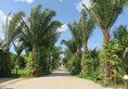 Legacy Resort в Сиануквиль Камбоджа ✅. Забронировать номер онлайн по выгодной цене в Legacy Resort. Трансфер из аэропорта.