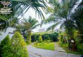 Legacy Resort в Сиануквиль Камбоджа ✅. Забронировать номер онлайн по выгодной цене в Legacy Resort. Трансфер из аэропорта.